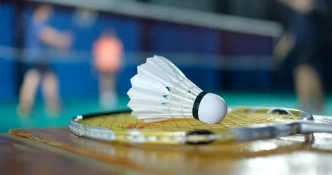 ศึกแบดมินตันชิงแชมป์โลก